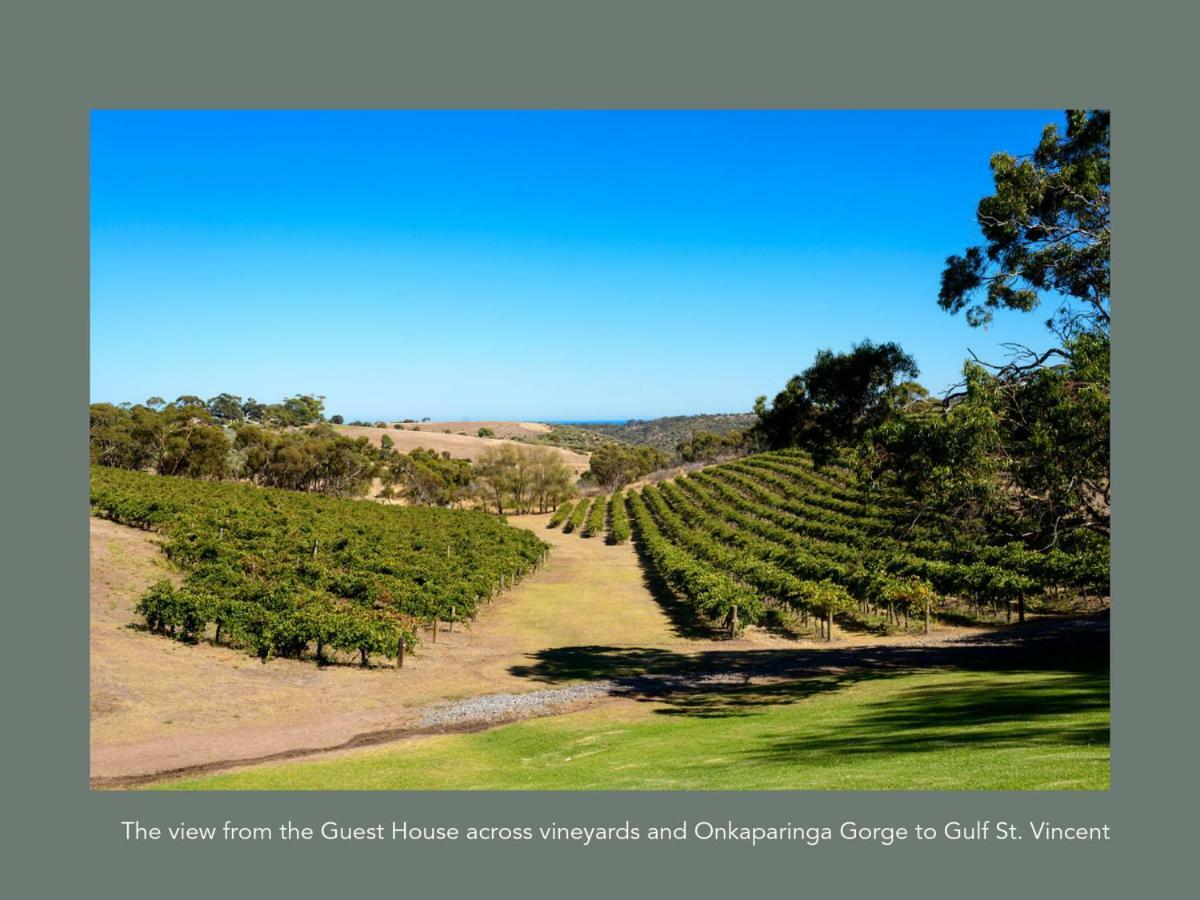 Chapel Hill Winery Mclaren Vale