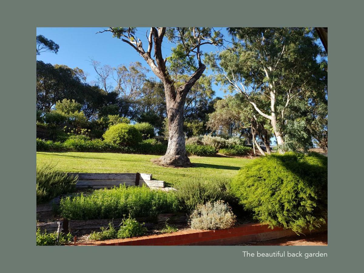 Chapel Hill Winery Mclaren Vale